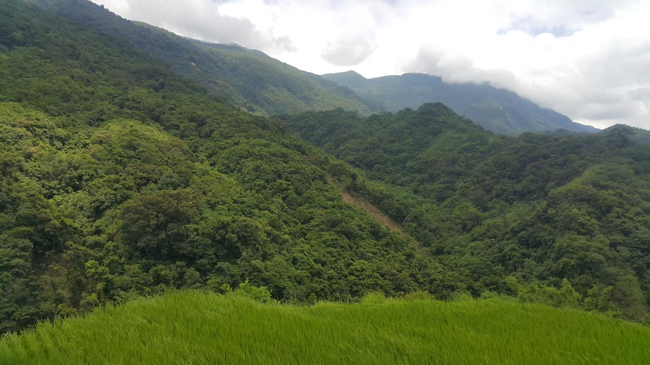 五葉松民宿-電梯民宿 近慈濟中小學及慈科大及人社院 Hualien Buitenkant foto